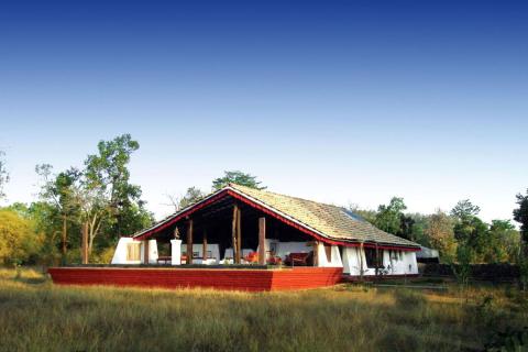 monsoon forest bandhavgarh