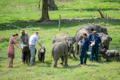 Global Wildlife Fair